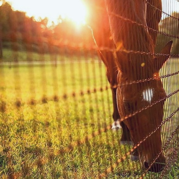 LIKE THIS + BOOKMARK MY CLOSET 🖤 - Picture 9 of 10